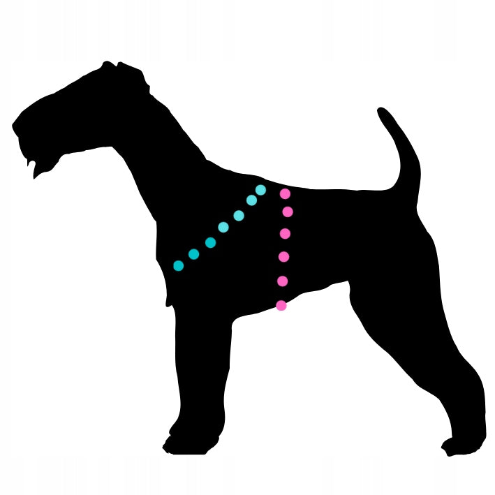 PRESSURE-FREE HARNESS for small dog breeze XS fuchsia Brand Lalazoo