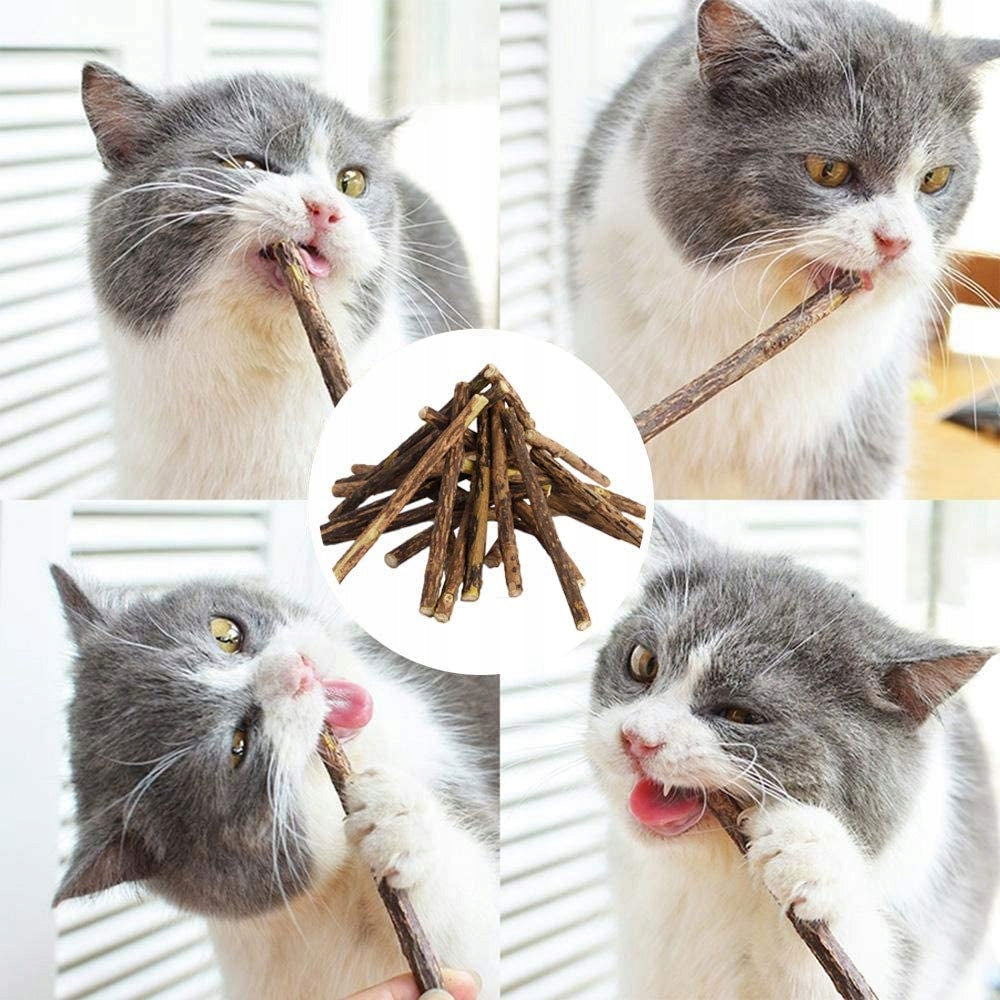 10 Pcs CAT TREAT CHEWING STICKS MATATABI Manufacturer code PATYKI MATATABI ZESTAW 10SZT.