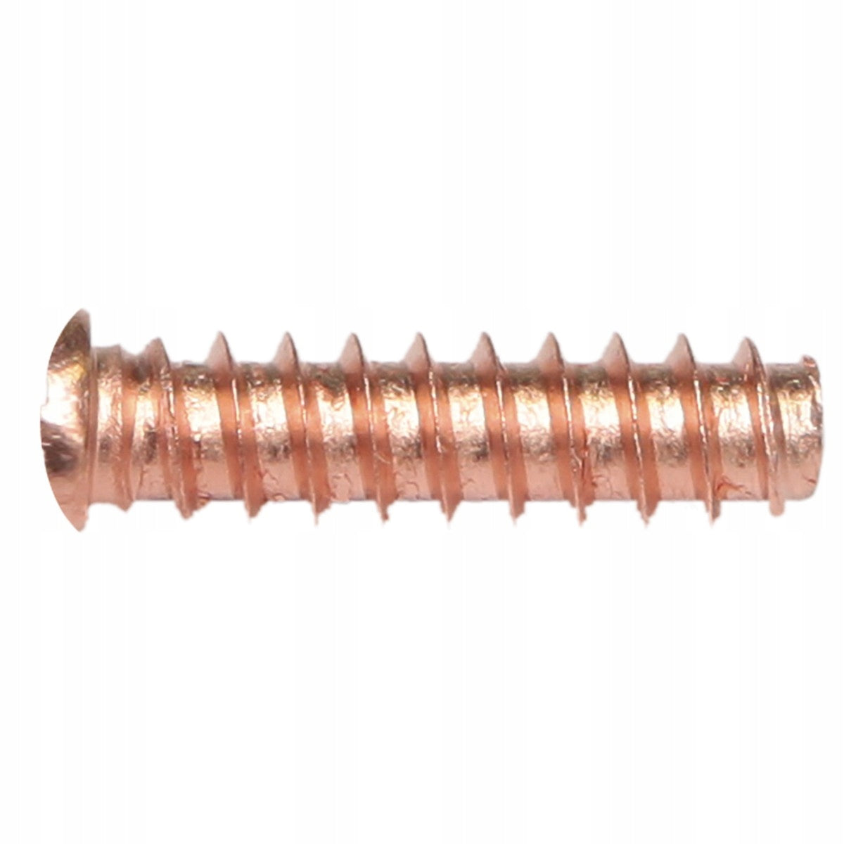 100x Fixing frog GYS 049420