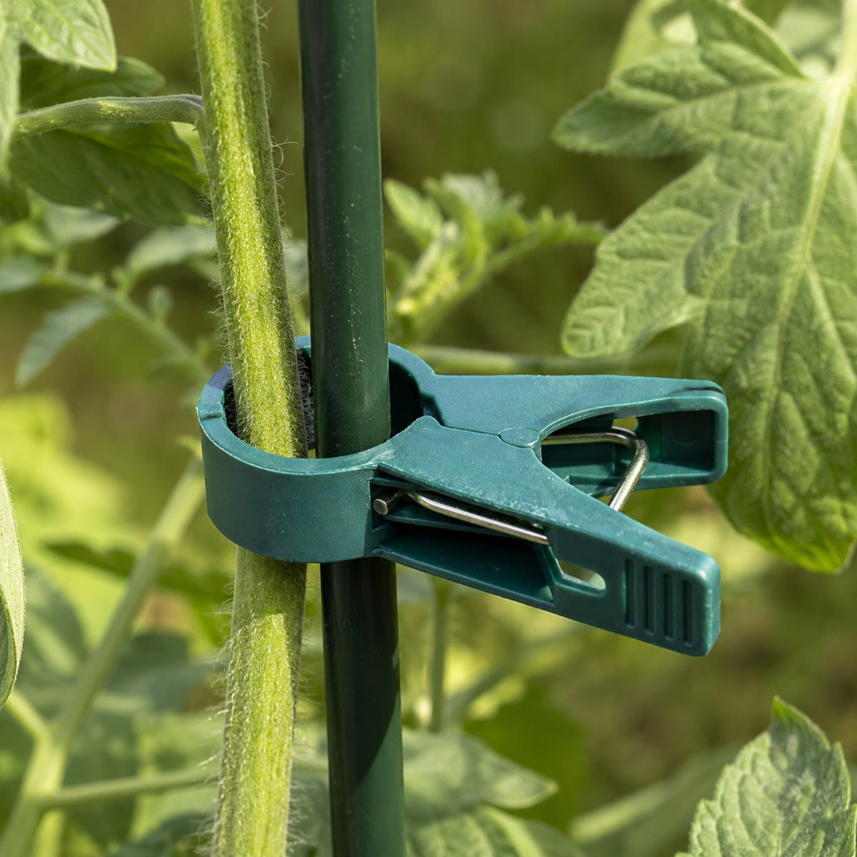 10PCS PLANT CLIPS CLASPS FIXING SHOOTS TOMATO STEMS CLIPS STRONG Packaging status original