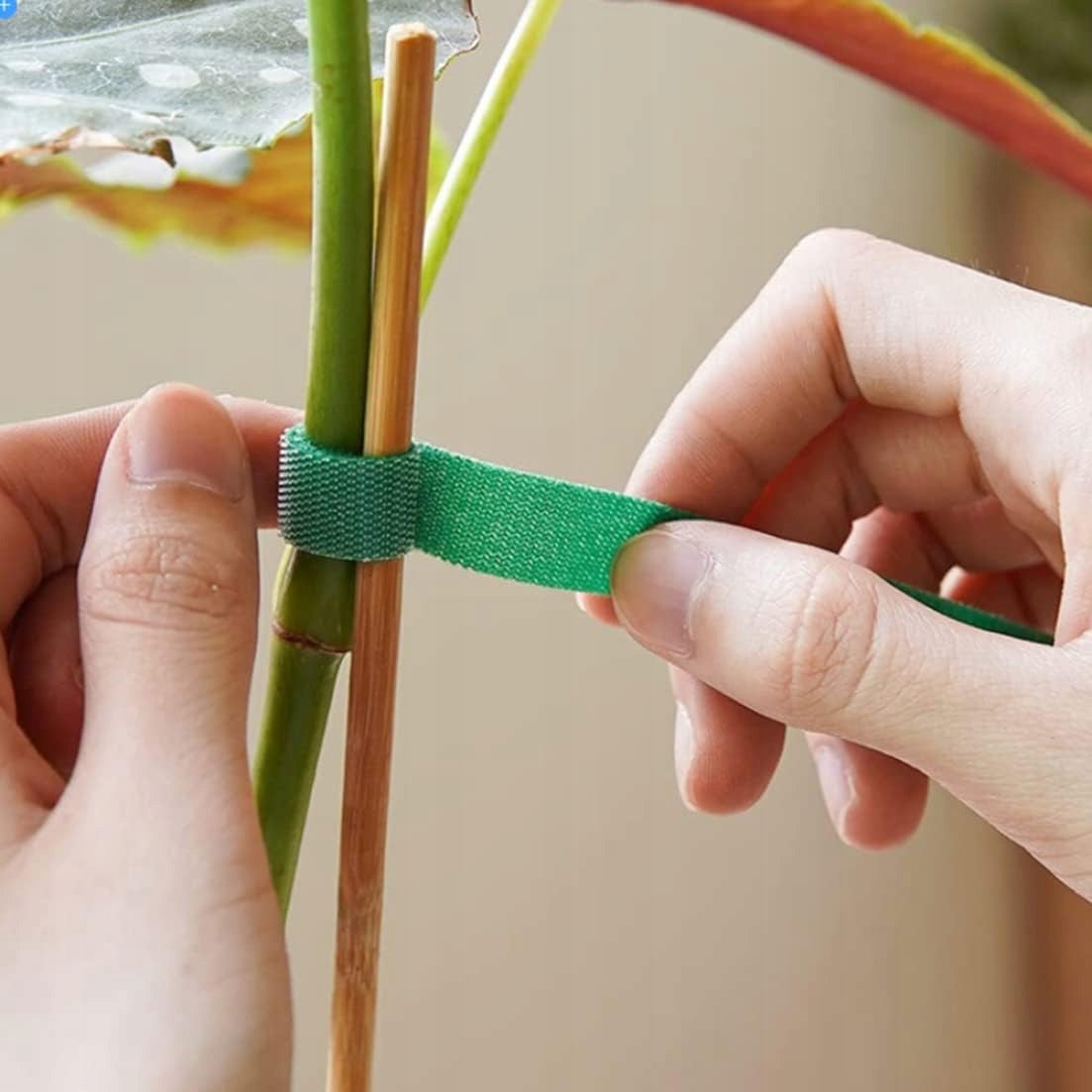 10X Gardening Tape Velcro For Binding Tomatoes Plant Binding NEXA Packaging status original