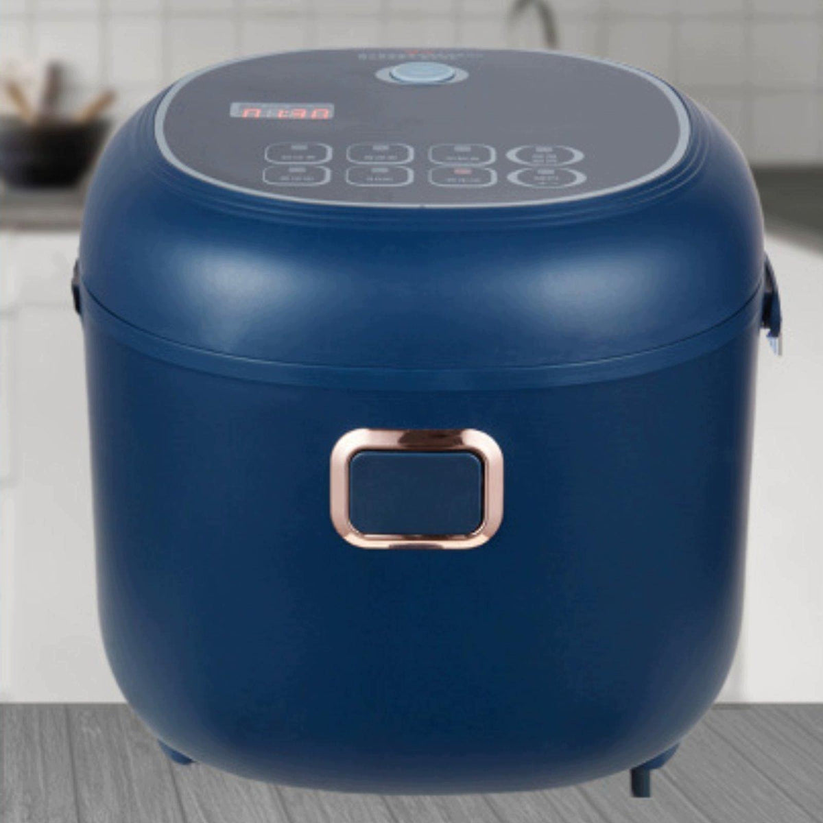 2L Small Rice Cooker for Car, Truck Electric Lunch Box Small Portable Food