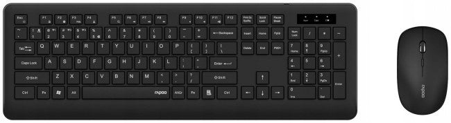 2X Keyboard + Mouse Set RAPOO 8310M Black