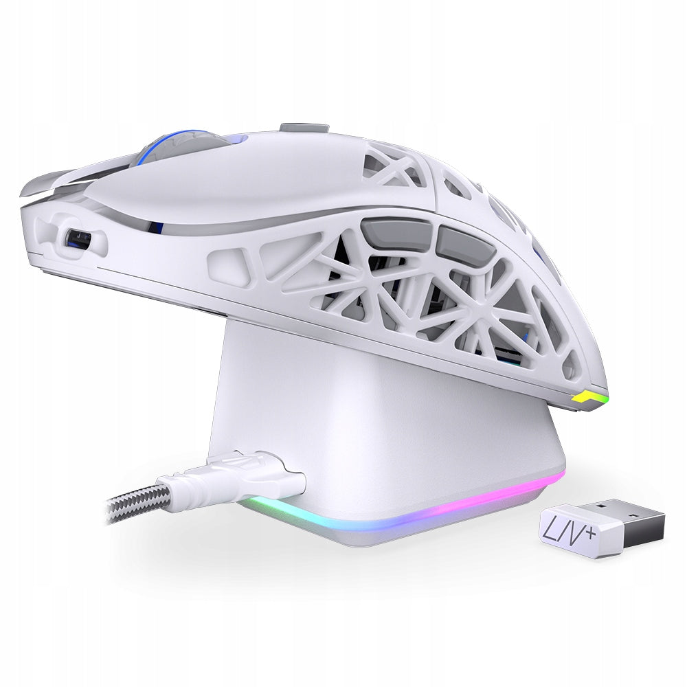 2X Mouse ENDORFY LIV Plus Wireless Onyx White