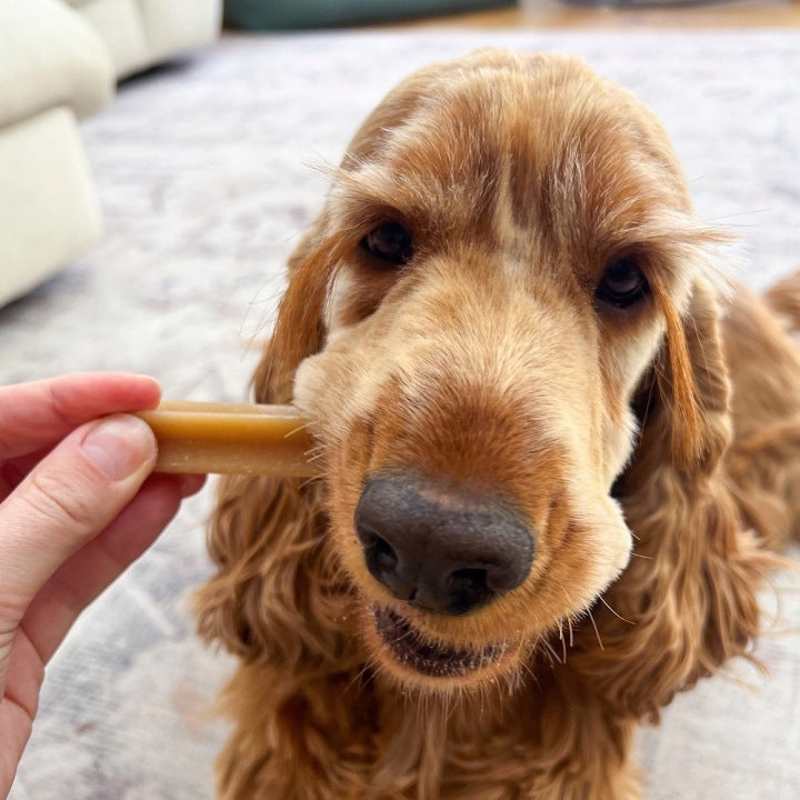 2X PEDIGREE DENTASTIX FOR MEDIUM DOGS, 56 PIECES WITH CHICKEN AND BEEF Manufacturer code 5998749121481