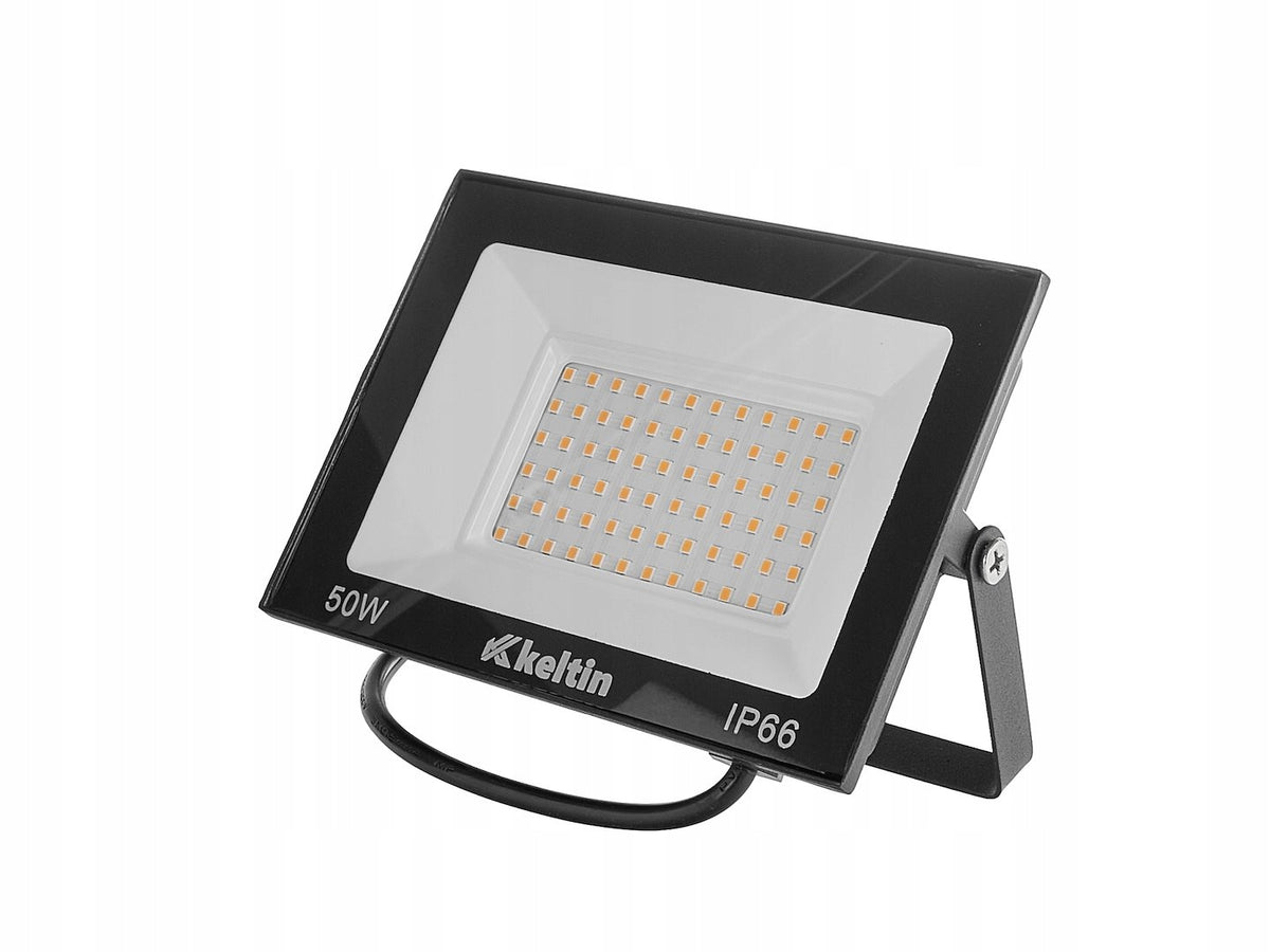 50W LED floodlight - cold white 6500K (50)