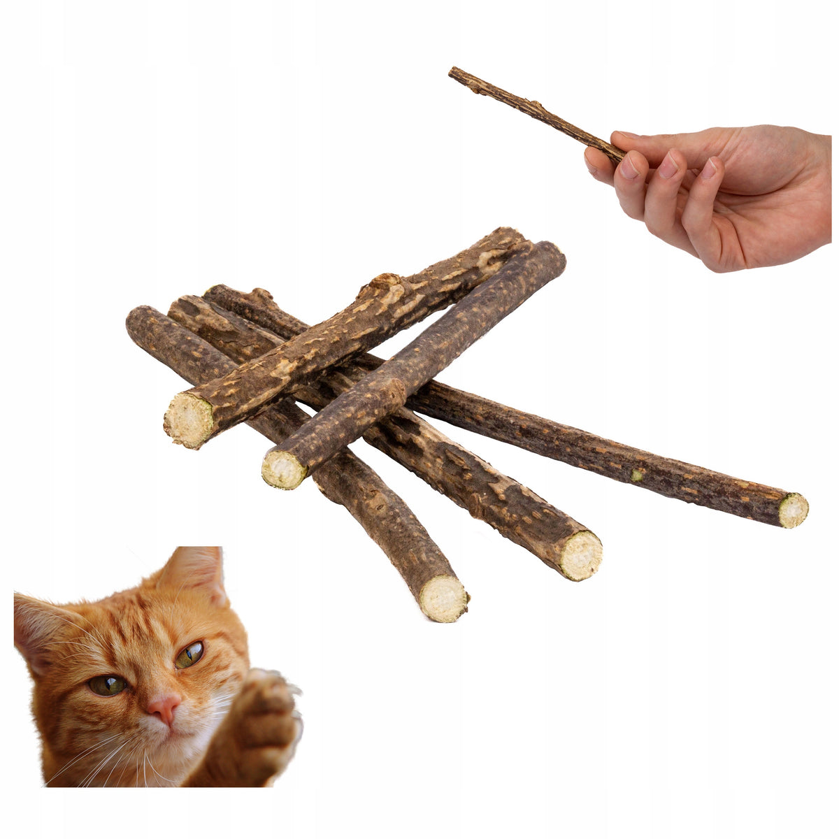 50x STICKS Cat Sticks Toy Teether Stick Biting Treat
