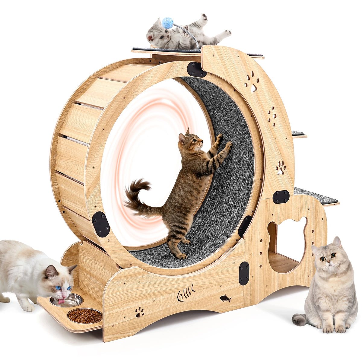 6-in-1 Cat Running Wheel, Multifunctional Cat Exercise Wheel