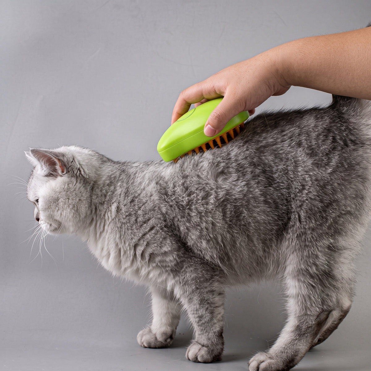 ANIMAL DOG CAT STEAM BRUSH FOR HAIR COMBING CARE Manufacturer code PET-003-Green