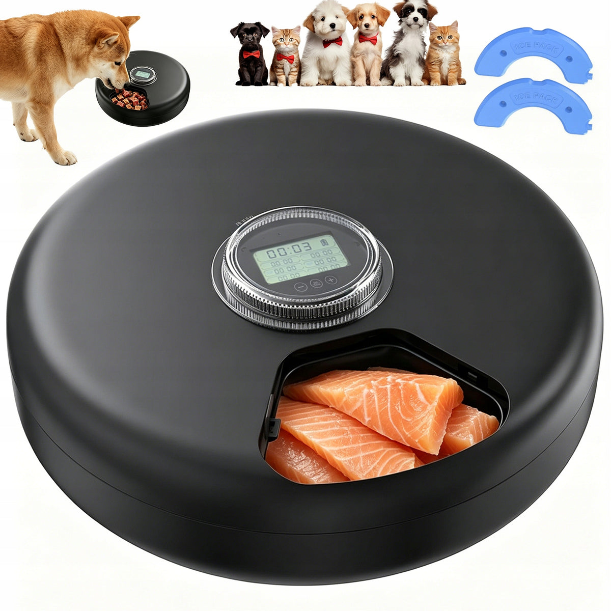 AUTOMATIC PET FEEDER ANTI-LOCK SAFE SYSTEM FOR HOME