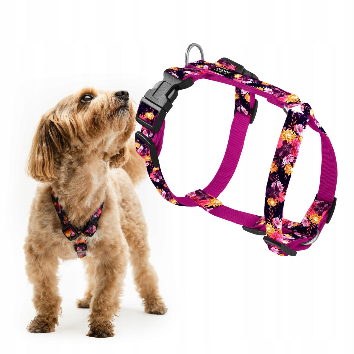 Adjustable Comfortable Guard Harness for Small Dogs - Chaba Marigold Size S