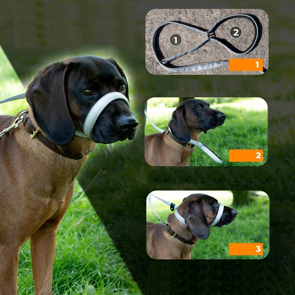 Anti-Train Leash 180cm 8-Shaped For All Dogs Non-Slip Packaging status original