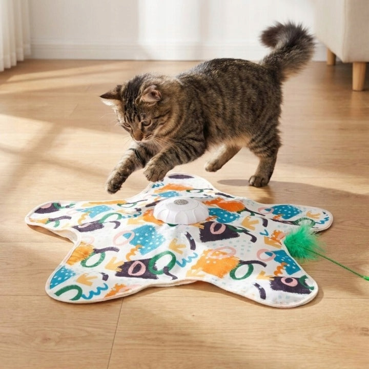 Automatic Cat Mat Interactive Toy with Feather 65cm USB-typeC Manufacturer code CatToy1200 fish