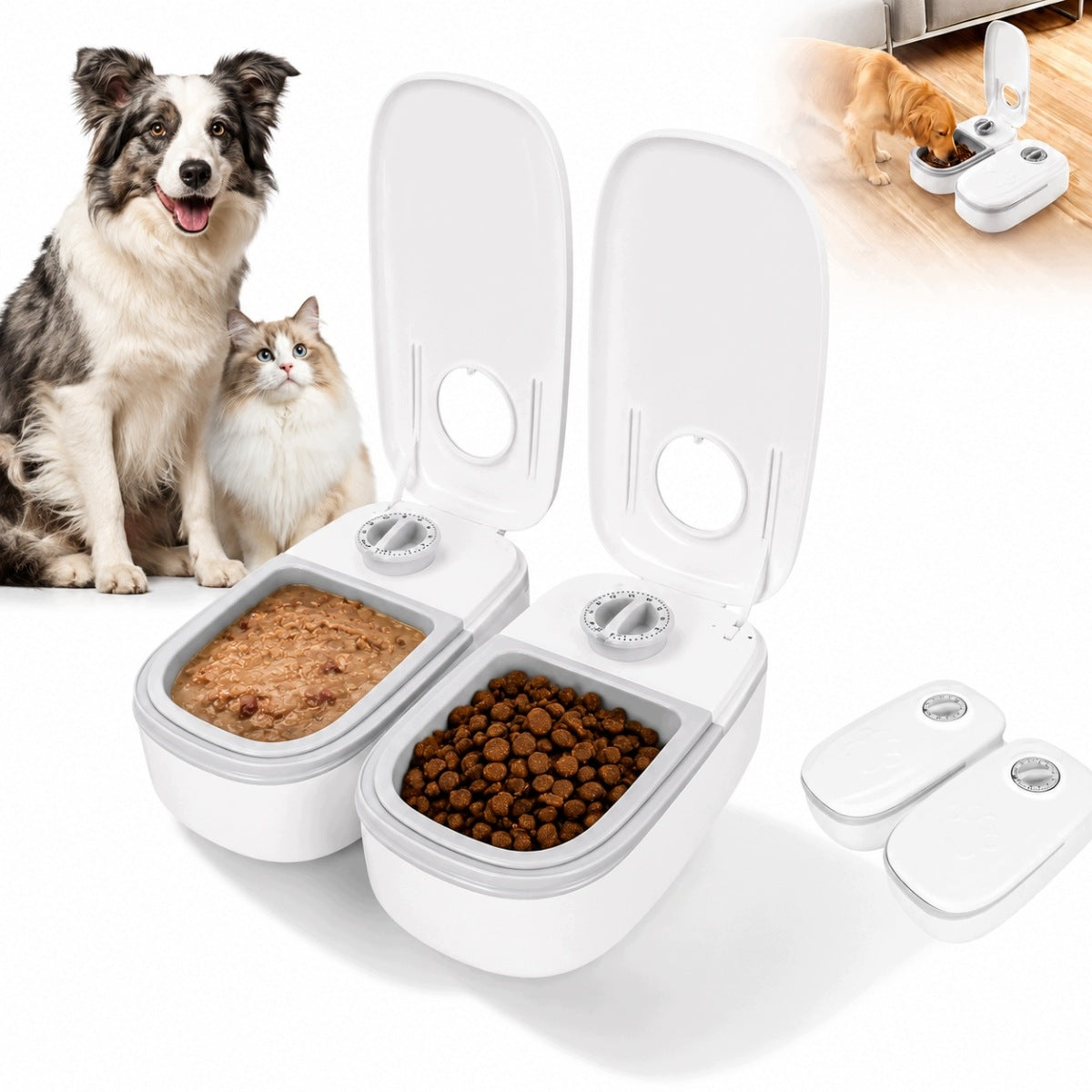 Automatic Food Dispenser Bowl Timer Dispenser