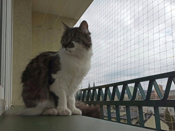 BALCONY NET IN ROLL 4x2m FOR CAT WHITE EYELET 50x50mm SAFE CATS Manufacturer code 5904463615977