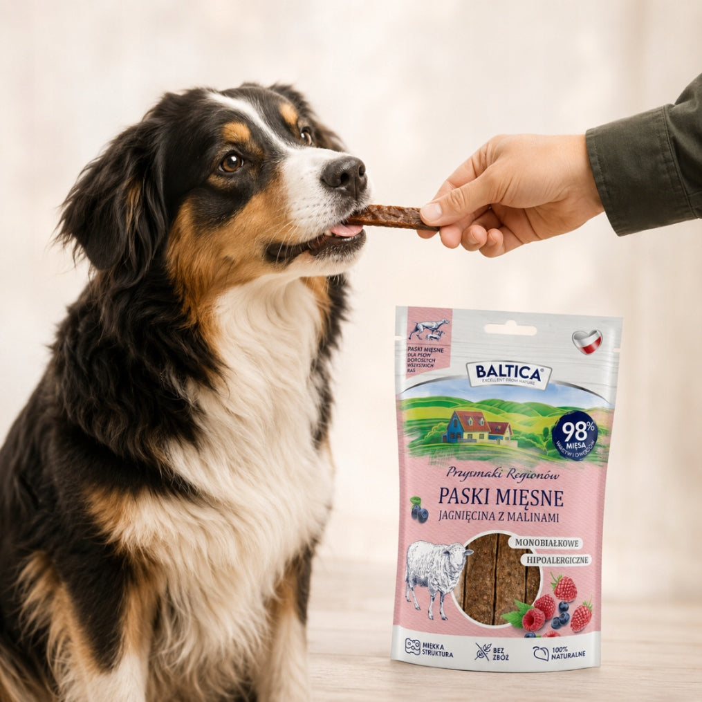 BALTICA Dog Treat MEAT Strips LAMB with RASPBERRIES Taste 90g Manufacturer code B479