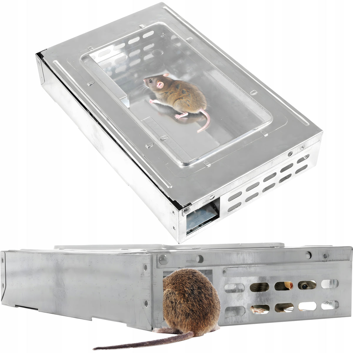 BREASTFEEDING LIVETRAP MOUSETRAP RATS GRIPPER HUMANITARIAN PAW Packaging status original