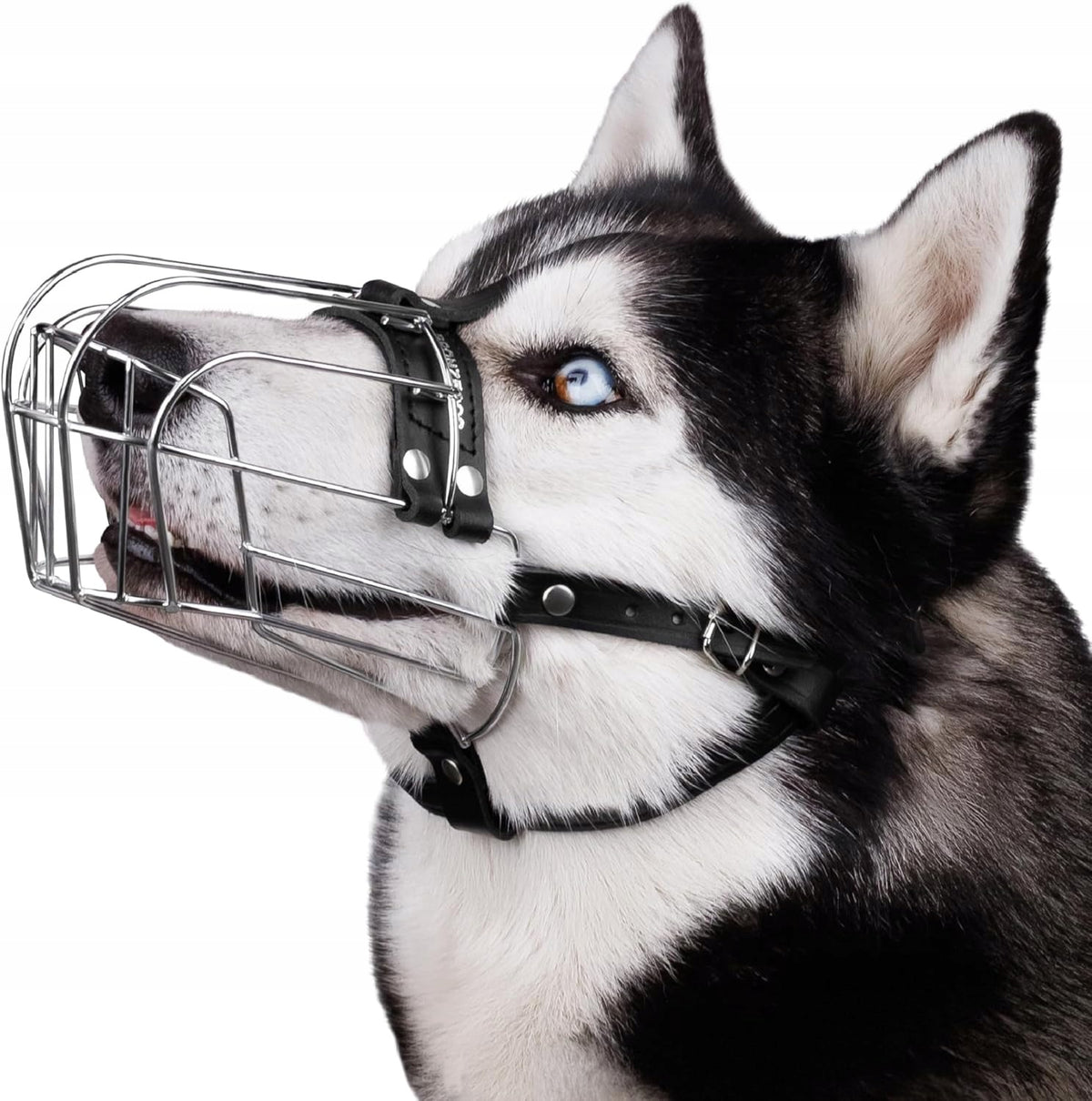 BRONZEDOG Metal muzzle for dog Doberman M leather adjustable wire