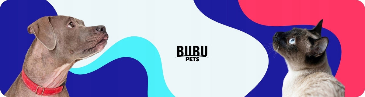 BUBU Zebra Pattern Cat Collar with Bell M Brand Bubu Pets