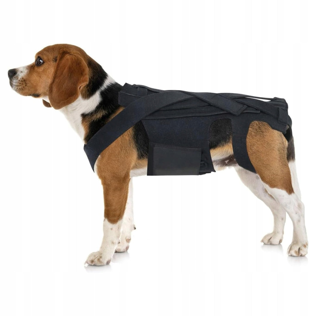 Back Support Belt for Dog Orthosis Rehabilitation Dogs Roz. M BLACK