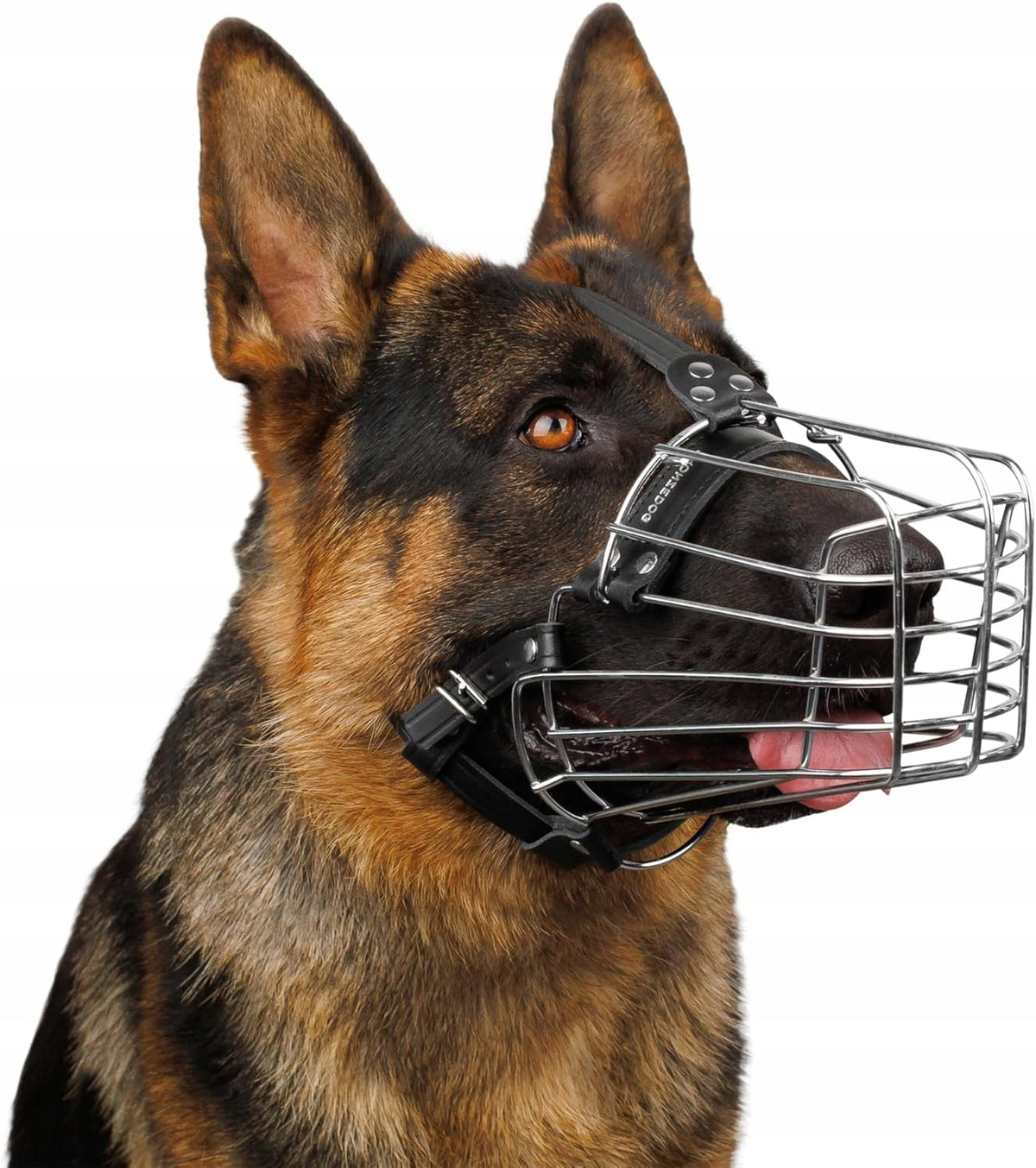BronzeDog Metal muzzle for dog, wire basket LEATHER STRAP M