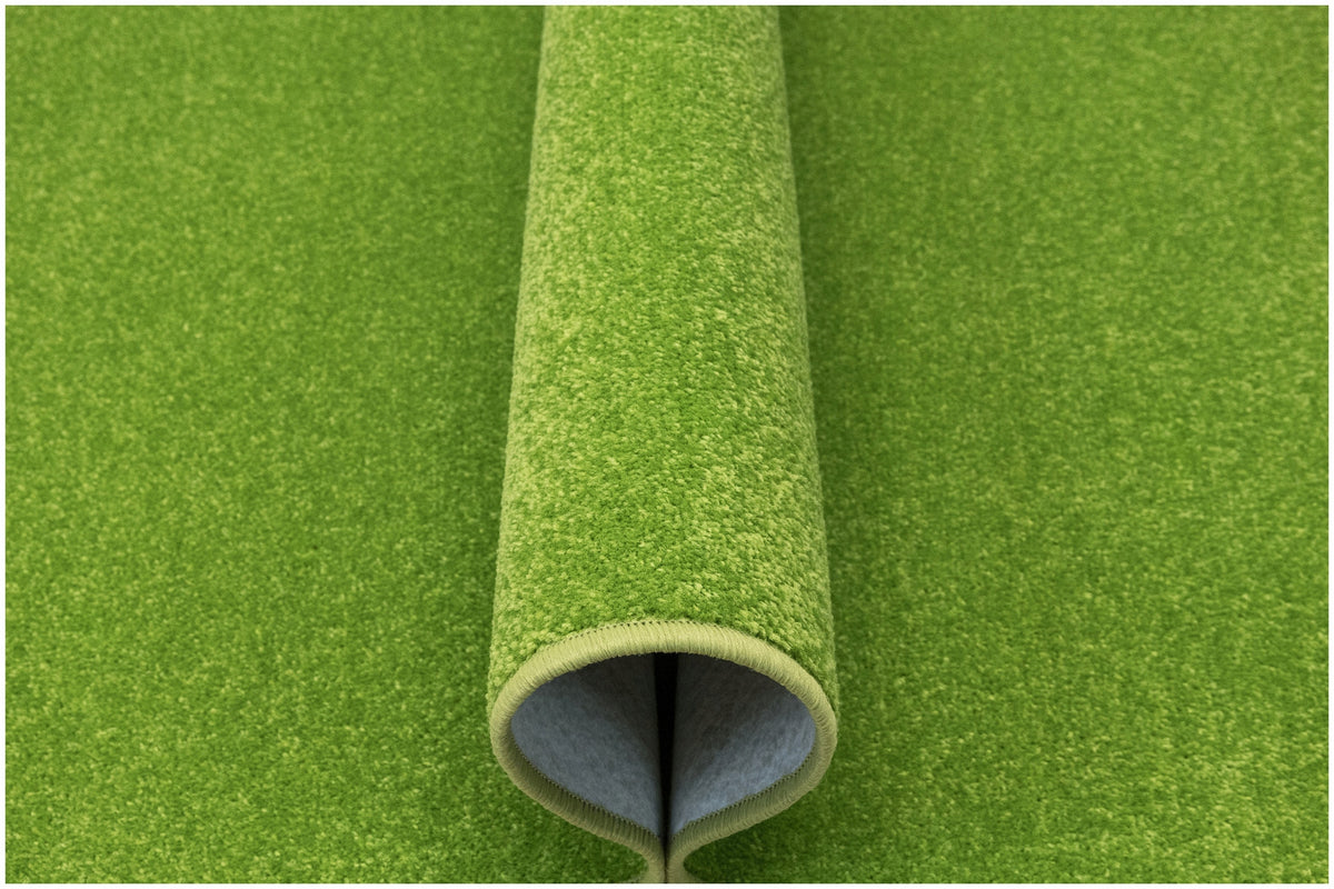 CARPET LIGHT GREEN SOFT FOR LIVING ROOM BEDROOM TO SIZE DYNASTY 150x200 cm
