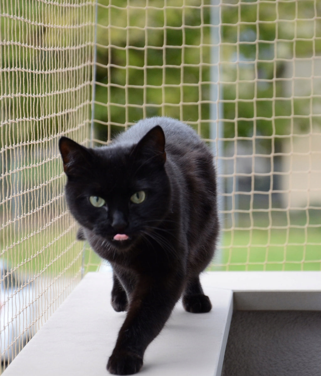CAT NET FOR BALCONY THICK 1,5mm EYELET 40x40mm CUT TO SIZE Manufacturer code 5902838390795