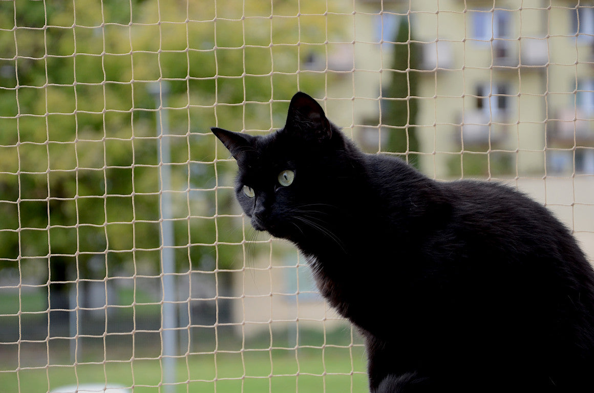 CAT PROTECTIVE NET FOR BALCONY WINDOW DENSE EYE 28x28mm TO SIZE Packaging status original