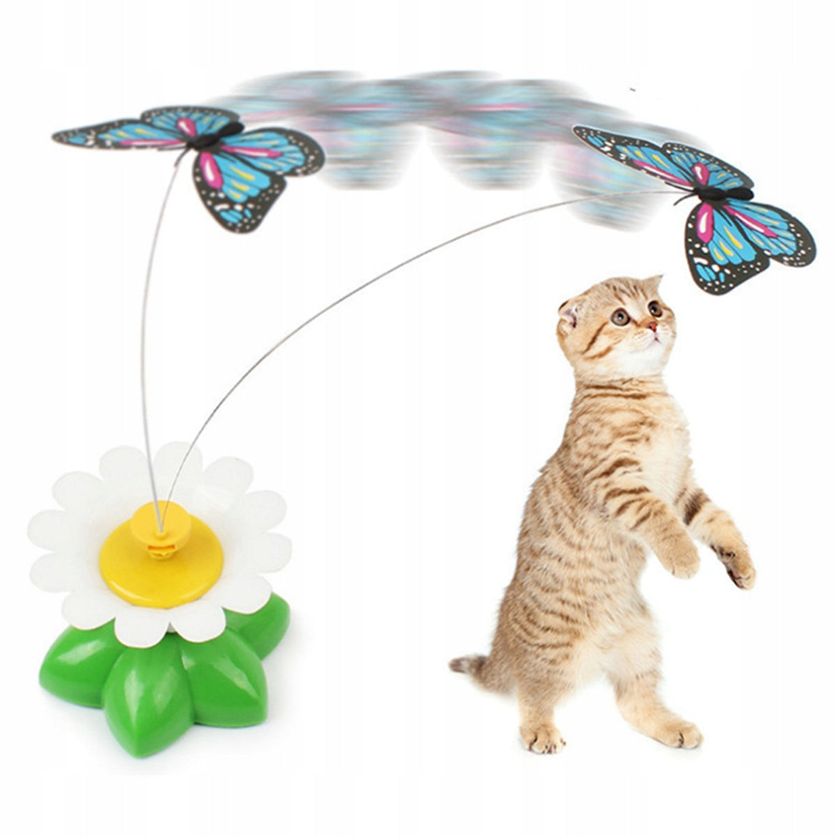 CAT TOY BUTTERFLY MOVABLE INTERACTIVE