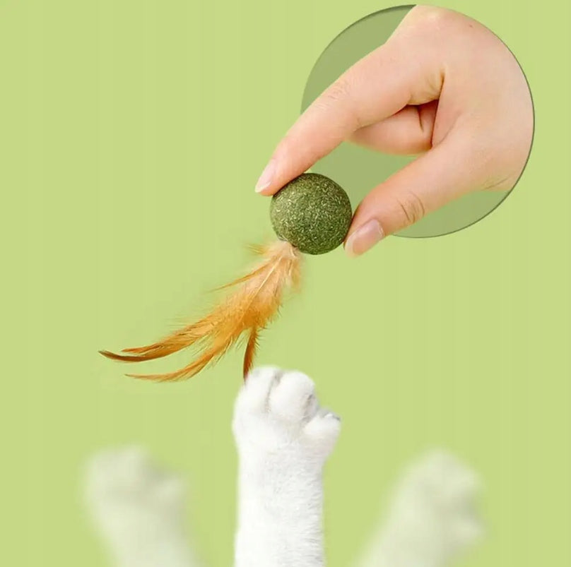 CATNIP FOR CAT toy BALL with feathers CAT BALL Manufacturer code KZP3x10