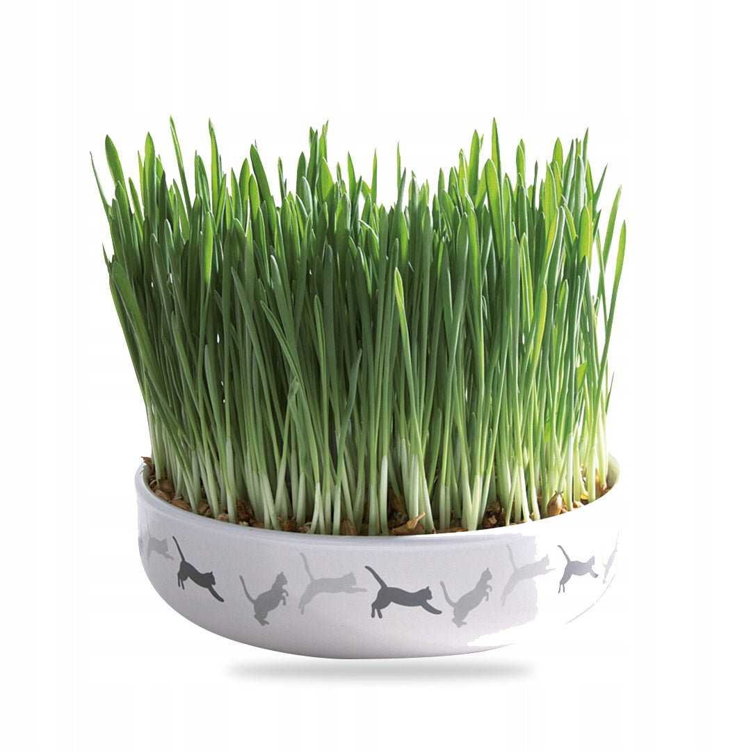 CERAMIC BOWL GRASS SEEDS FOR DELAY HAIR BALLS FOR CAT TRIXIE Packaging status original