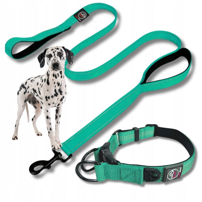 COLLAR and LEASH dog set RICO set for big dog XL turus