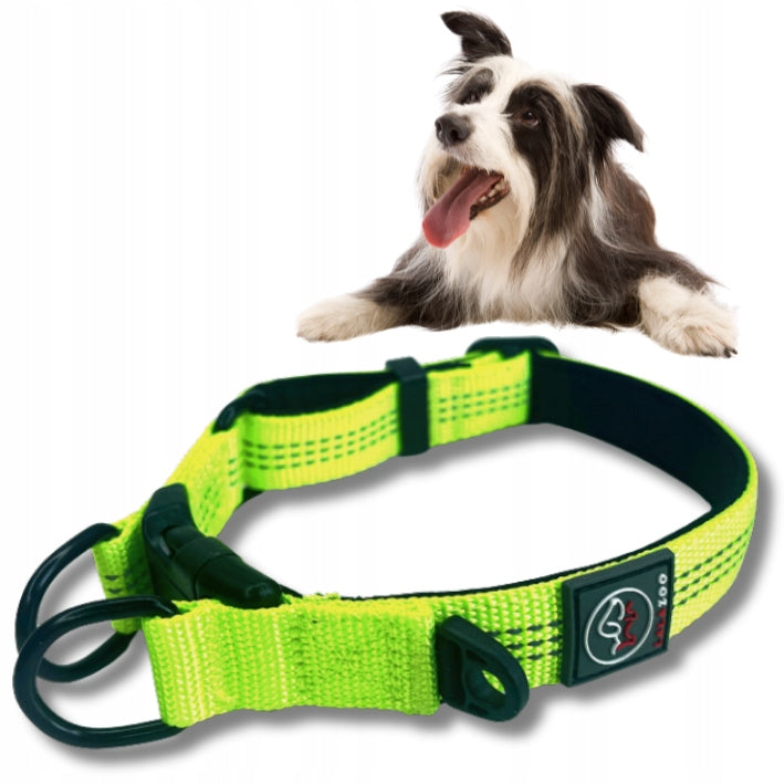 COLLAR for a large dog neon RICO 60CM STRONG XL