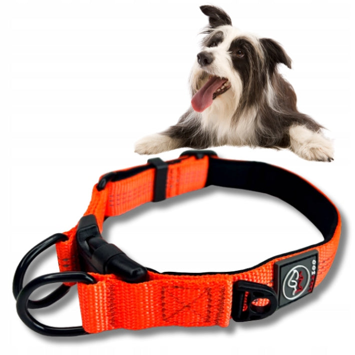 COLLAR for a large dog orange RICO 60CM STRONG XL