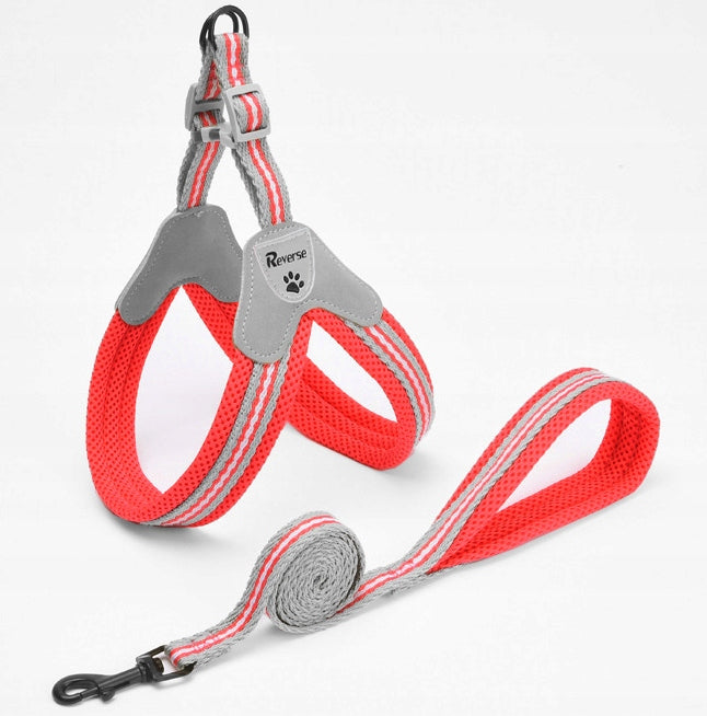 COMFORTABLE PRESSURE-FREE HARNESS COMFORTABLE FOR CAT DOG KITTEN + LEASH 1,2m ros. S Brand Reverse