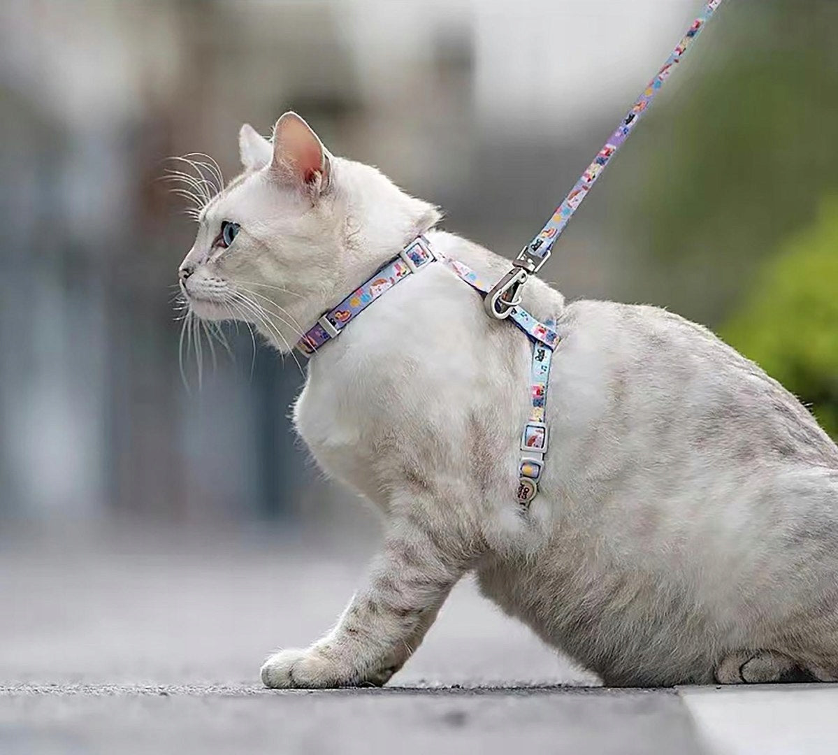 Cat Harness - Blue Manufacturer code JK01