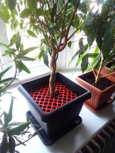 Cat Protective Grille for Pot CUT-OUT Safety Mesh Manufacturer code 5906992330765