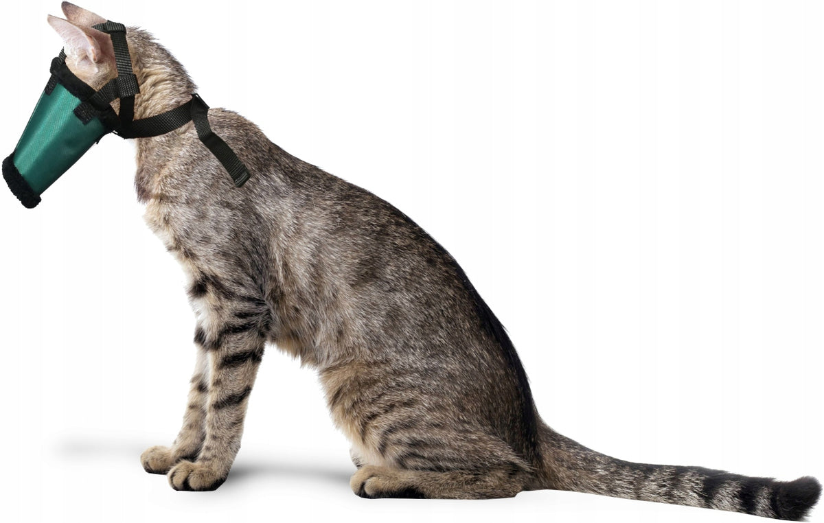 Cat muzzle S