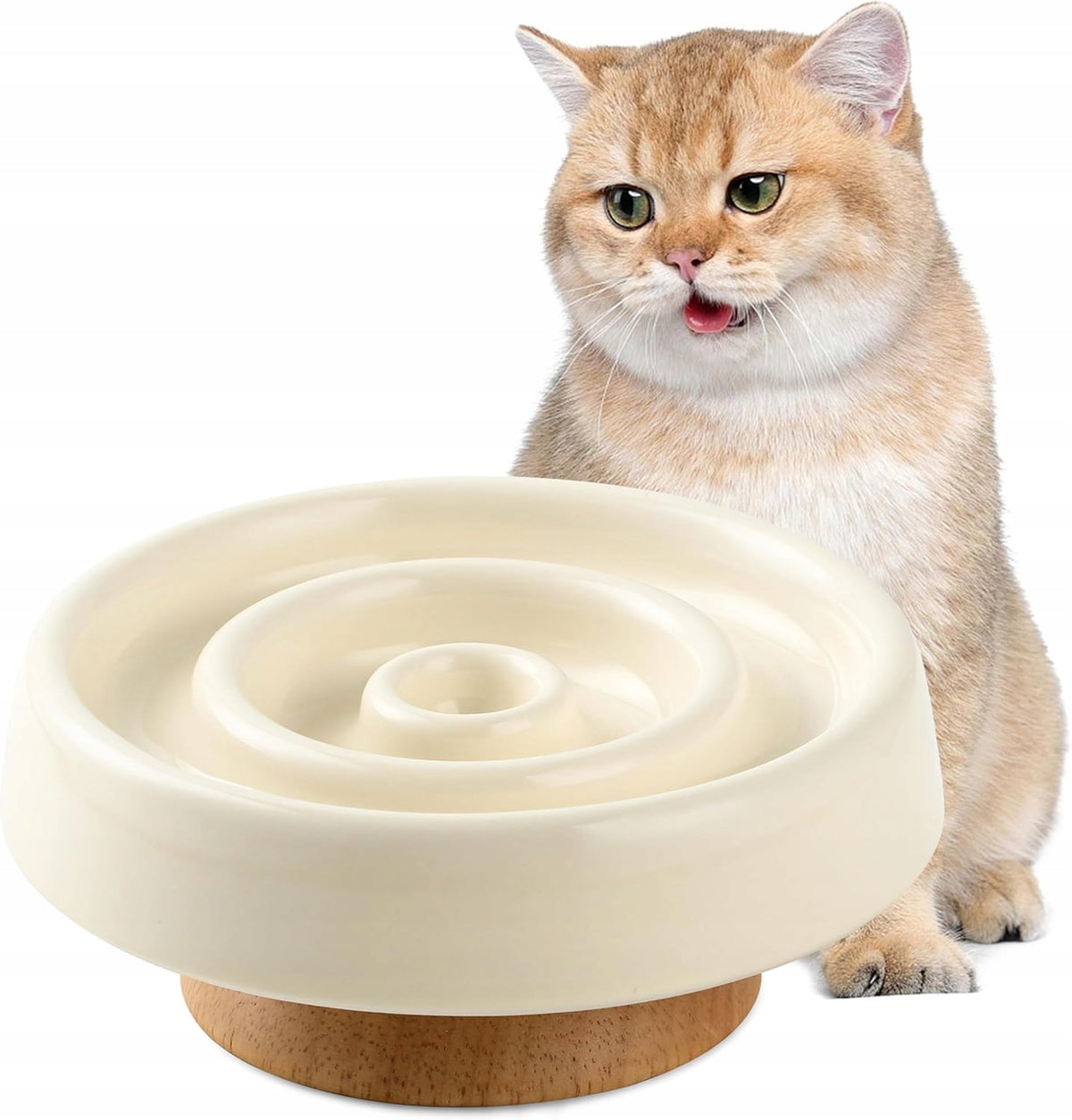 Ceramic Cat Bowl Slowing Down