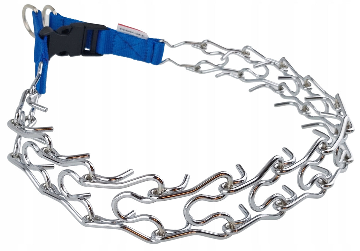 Champion Dog Earring with Latch on Tape Roz. T3 Blue Manufacturer code MKO 3T (N)
