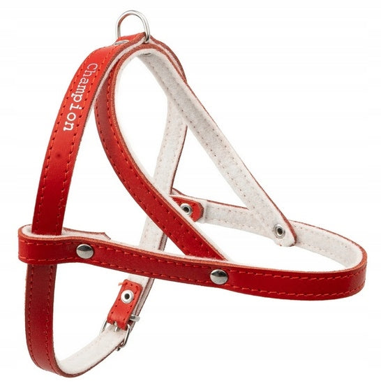 Champion Harness 40 red [SD(R)]