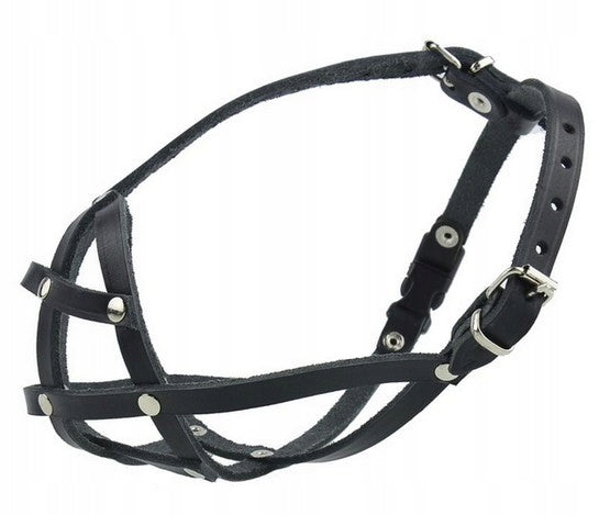 Champion Leather muzzle for French Bulldog 2 [BF]