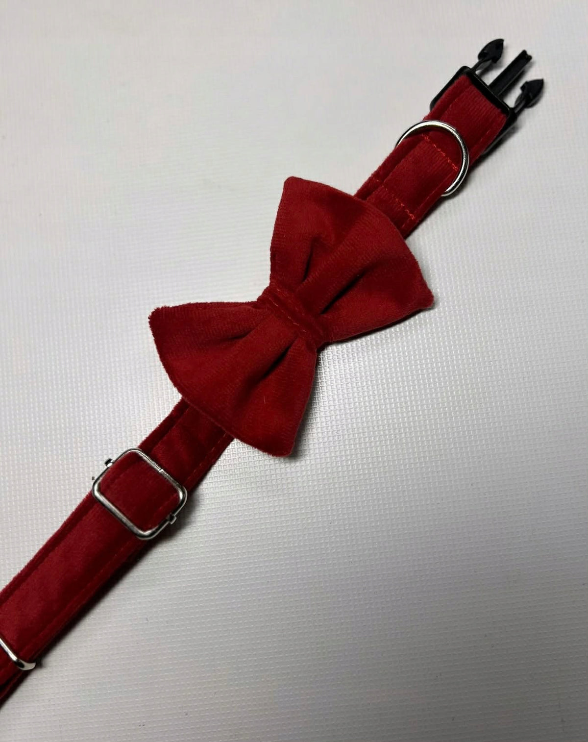 Christmas collar with bow collar for dog
