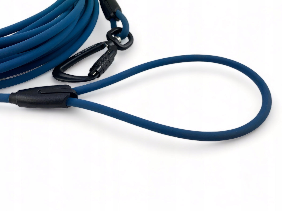 ChromaPet leash extension