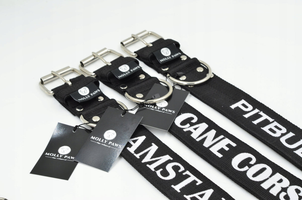 Collar For Amstaff , Cane Corso , Pitbull