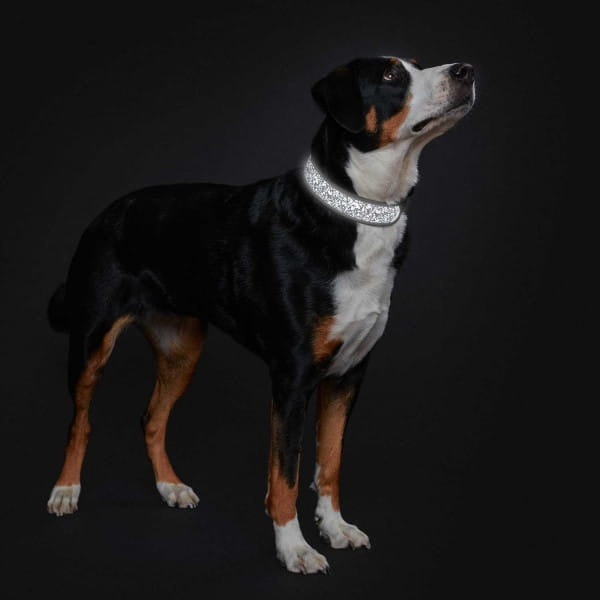 Collar Hunter Divo Reflect black S Manufacturer code 68964