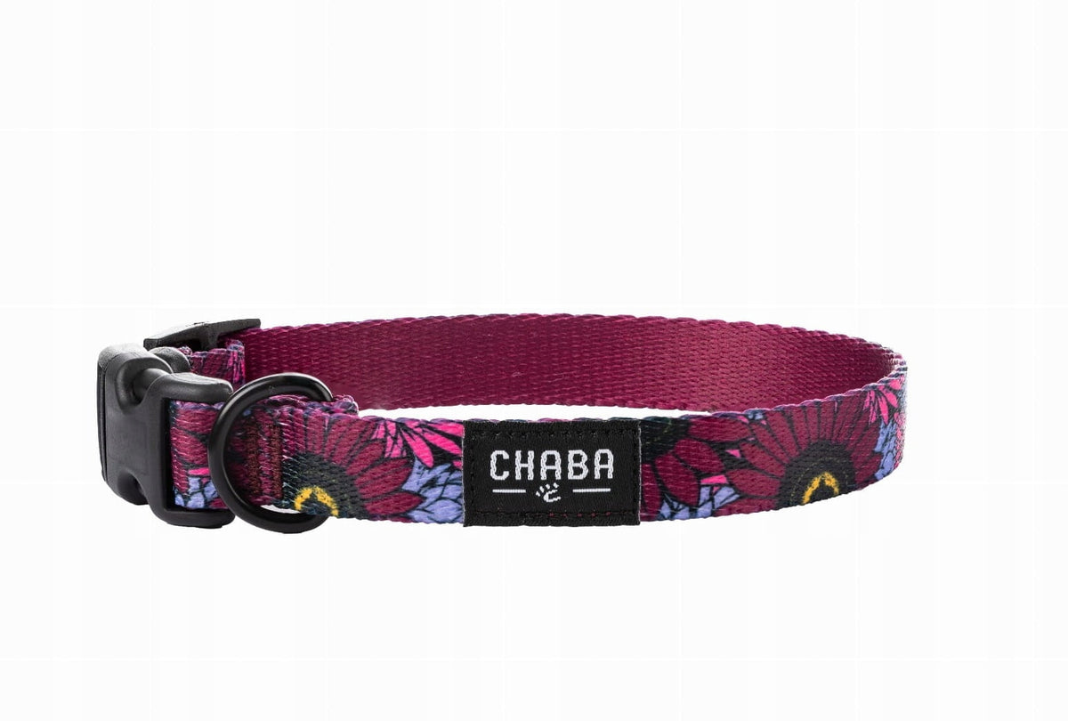 Collar adjustable story - LAKOTA "S"