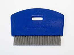 Comb for combing fleas