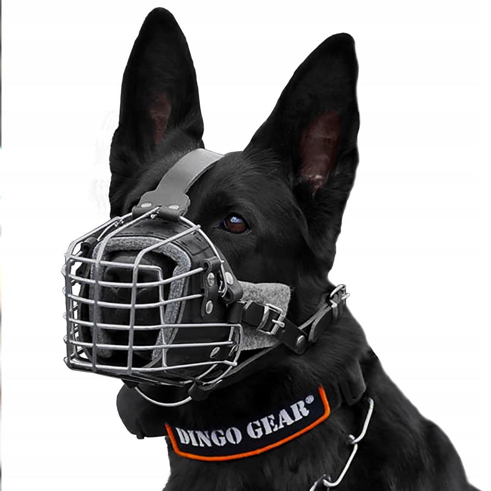 Combat and Training muzzle No. 3 size. L Dingo Gear Brand Dingo Gear