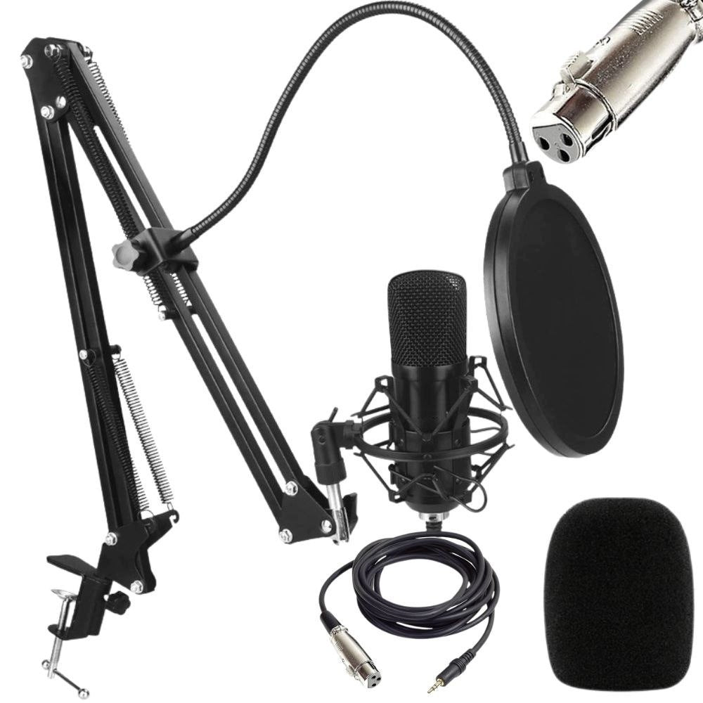 Condenser microphone with set of accessories
